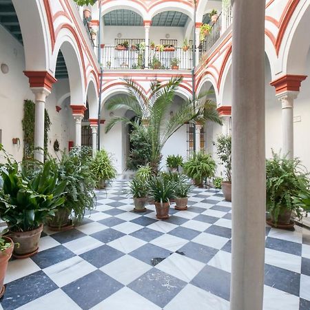 Alohamundi Alfalfa Sevilla Kültér fotó